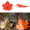 Подпорка для двери autumn коричневая